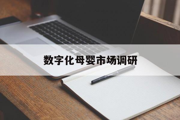 桂林市数字化母婴市场调研(数字化母婴市场调研报告)